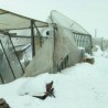 Снег урушио породични посао