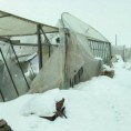 Снег урушио породични посао
