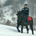 Пони експрес Соколовице