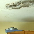 Муке с равним крововима
