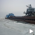 Заробљени насред Дунава