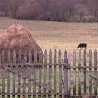 Траг у простору: Земља сена