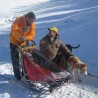 Сасвим природно: Аљаска у Србији, 1. део