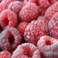 Преговори о цени малине