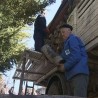 Куће без дрва, пијаца без купаца 