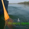 На веслу прича