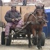 Живети у Црвеној Звезди