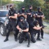 Рент-а-пендрек
