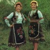 Од злата јабука