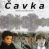 Чавка 