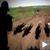 Окрутна и насумична ликвидација 