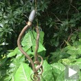 Епска битка иза куће