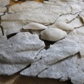 Мистериозни фосил