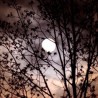 Ђурђевдански „супермесец“