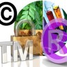 Таласање - Шетња