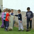 Еколошка акција у Пецкој