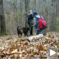 Шта зна пас шта је просидба