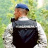 Акција жандармерије