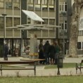 Вита студентис