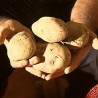 Мора ли да се баца