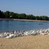 Утопио се мушкарац на Ади