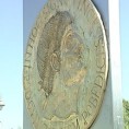Необична латиница 