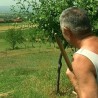 Медвед у махали