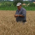 Зимско заливање уродило плодом