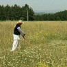 Дани међаша