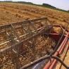 Богата жетва у шабачком крају