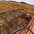 Богата жетва у шабачком крају