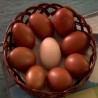 У пензији је занимљивије 