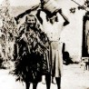 Од злата јабука