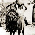 Од злата јабука