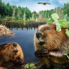 Мали дабар