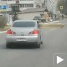 Њему даске заиста фале...