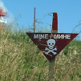 Гости безбедни, берачи у забрањеној зони