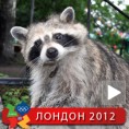 Кина прва, часна ракунска реч!