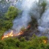 Пожари у околини Куршумлије
