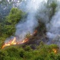 Пожари у околини Куршумлије