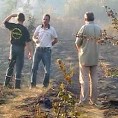Локализован пожар код Зајечара