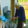 Жедни због процедуре
