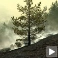 Локализован пожар на Чиготи