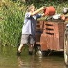 Жедни поред језера