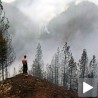 Живот после пожара