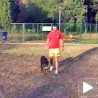 Шеталиште без паса
