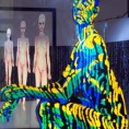 Ликовна колонија РТС: Јелена Трајковић - Употреба човека