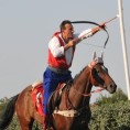 Витез за историју 