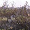 Локализован пожар на Бабичкој гори