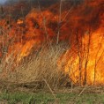 Пожар на падинама Јухора